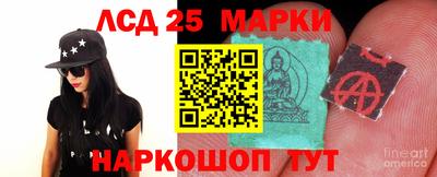гашик Кингисепп
