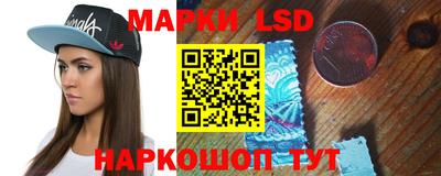 гашик Кингисепп