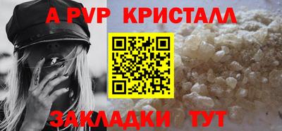 гашик Кингисепп