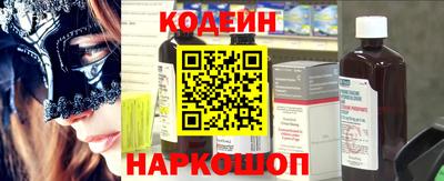 гашик Кингисепп