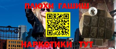 гашик Кингисепп