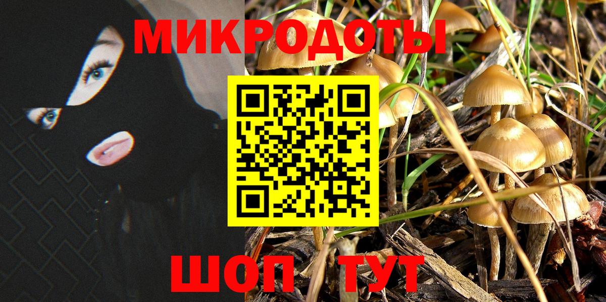 Псилоцибиновые грибы Psilocybine cubensis Кропоткин