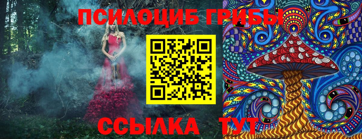 Кропоткин  Галлюциногенные грибы Psilocybe  Вход с VPN 